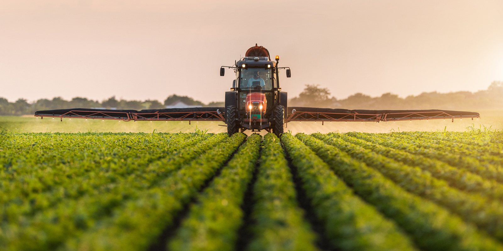 Agrofood Tarım