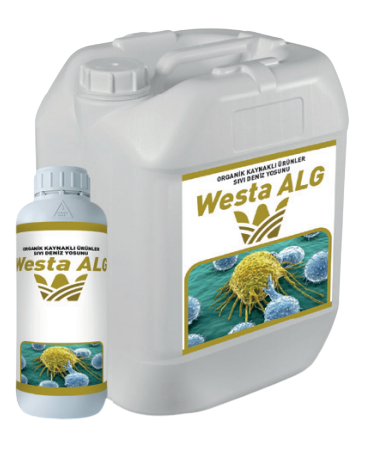 Westa ALG