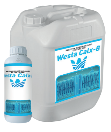 Westa Calx-B