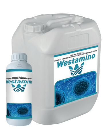 Westamino