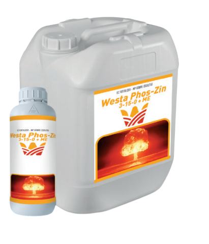 Westa Phos-Zin 3-15-0 + ME