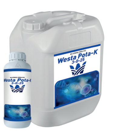 Westa Pota-K 3-0-25