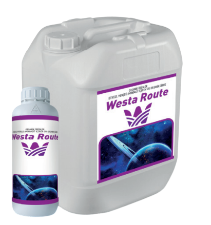 Westa Route
