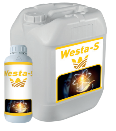 Westa-S